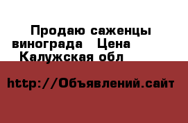 Продаю саженцы винограда › Цена ­ 350 - Калужская обл.  »    